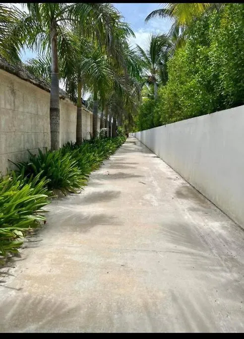 Costal Condo With Gym And Olympic Pool Punta Cana Den Dominikanske Republik